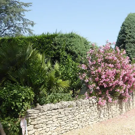 Perchee Dans Les Arbres