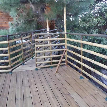 Apartment Perchee Dans Les Arbres